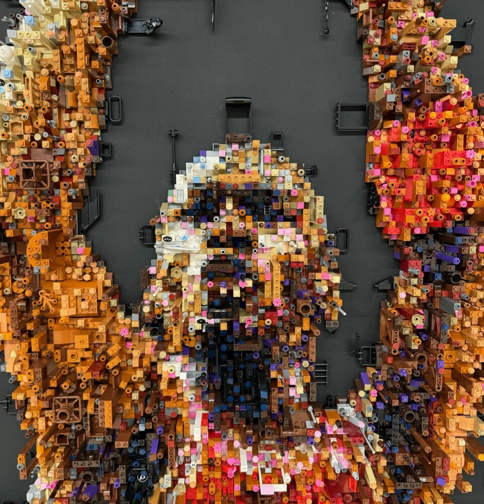 MAKER: From Ice Rink to LEGO Canvas - M'BricK's 3D Humanity - The